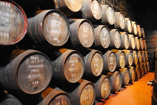 Porto: Visit And Wine Tasting At Taylor's Port Cellar - Porto: Visit And Wine Tasting At Taylors Port Cellar