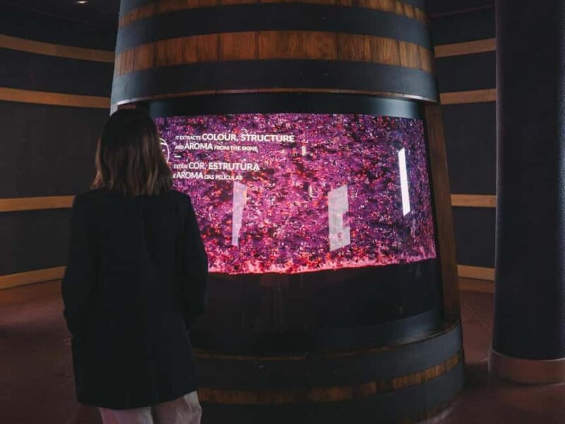 Porto: Wine Experience & Personalised Tasting at Wine School - Practicalities and Value