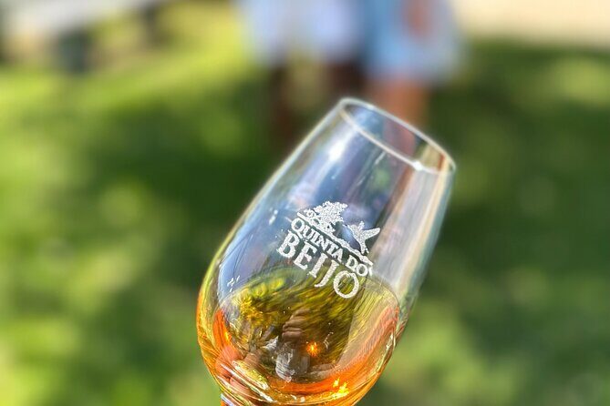 Porto Wine Tasting with GUIDED TOUR - A Detailed Look at the Porto Wine Tasting Tour