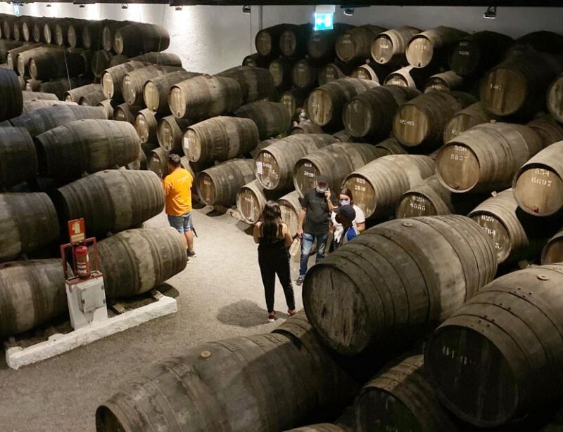 Porto: Wine Tasting with Tapas Walking Tour - The Sum Up