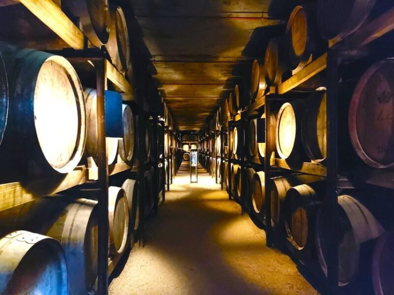 Porto: Wine Tastings (Green Wine) & Tradicional Lunch - The basics: what this tour offers