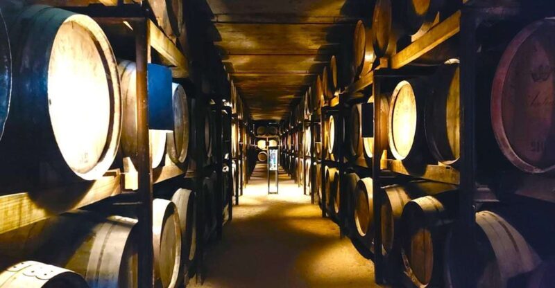 Porto: Wine Tastings (Green Wine) & Tradicional Lunch - Who the tour is best for