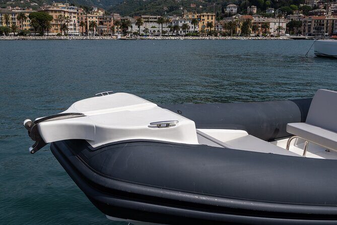 Portofino San Fruttuoso and Camogli One Day Boat Tour - FAQ