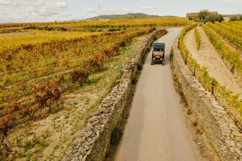 Portugal: 2 days in the Douro Valley with Harvest experience - Key Points