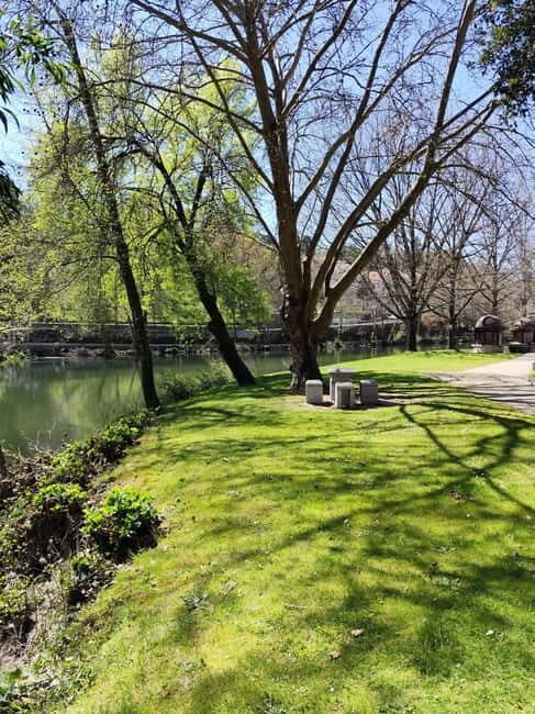 Portugal: Lafões Region Day Tour with Food and Wine Tasting - Key Points