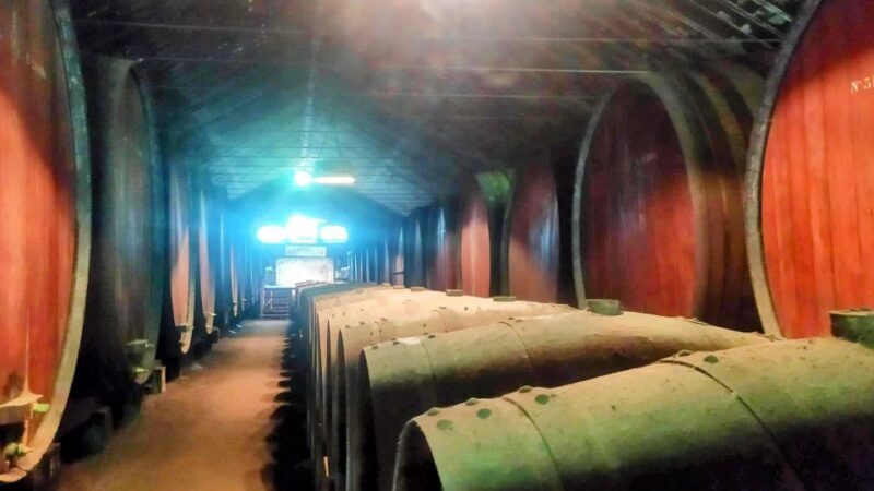 Portuguese Tiles and Wine History - Private Tour - Why This Tour Offers Great Value