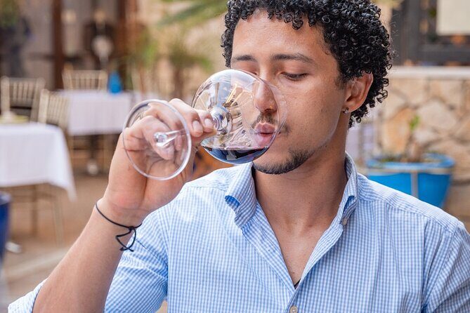 Portuguese Wine Tasting in the heart of Faro - Who Will Love This Tour?