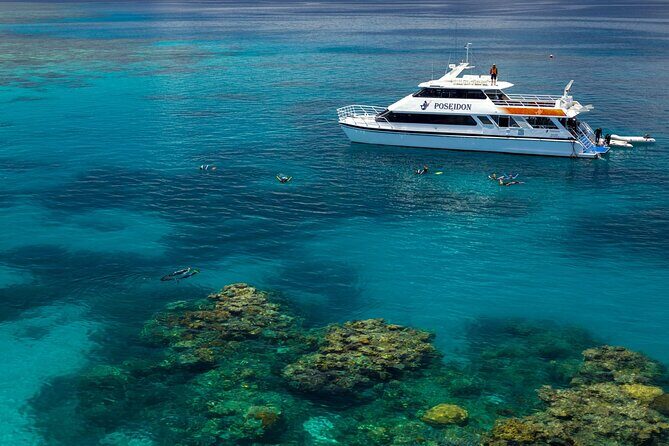 Poseidon Outer Great Barrier Reef Snorkeling and Diving Cruise from Port Douglas - Key Points