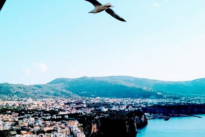 Positano - Pompeii - Authentic Insights from Visitors