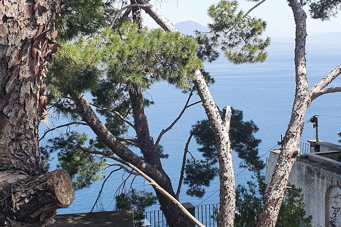 Positano, Sorrento and Pompeii in One Day with Expert Local Driver & Guide - Exploring the Amalfi Coast and Beyond: An In-Depth Review