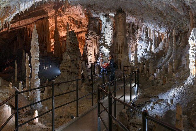 Postojna Cave & Predjama Castle from Bled - Who Will Love This Tour?