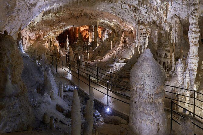 Postojna Cave & Predjama Castle from Koper - An In-Depth Look at the Postojna Cave & Predjama Castle Tour