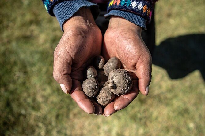 Potato Park Lagoons Private Hike with Lunch in Sacred Valley - Exploring the Sacred Valley on Foot: A Detailed Look