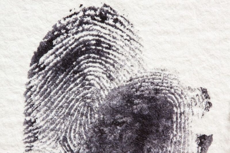 Potsdam: Jägervorstadt Outdoor Crime Mystery Tour - FAQ