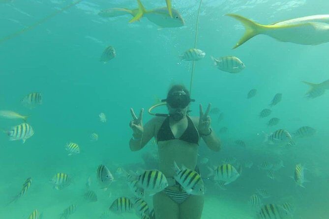 Power Shore Adventure Power Fly - The Full Experience: What to Expect from Power Shore Adventure Power Fly