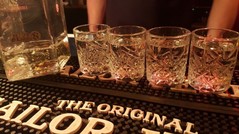 Poznan Private Vodka Tasting Tour - Who Is This Tour Best For?