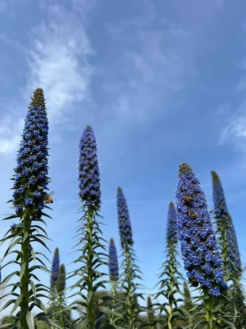 Pozzo Faceto: botanical garden - Practical Details: What You Need to Know Before Visiting