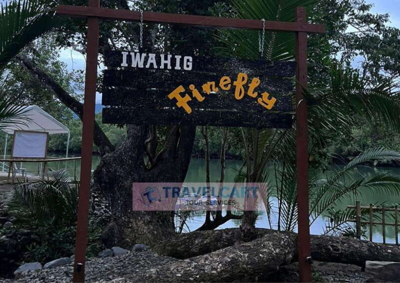 PPC IWAHIG Firefly Watching - Key Points