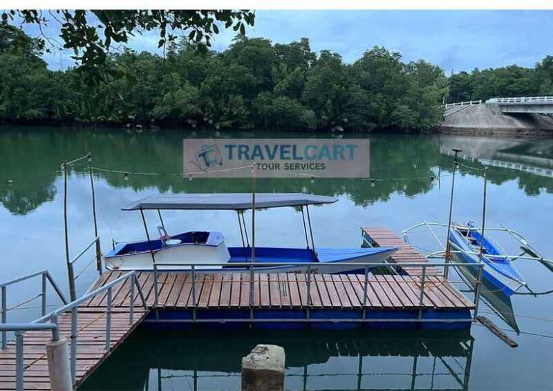 PPC IWAHIG Firefly Watching - Who Will Love This Tour?