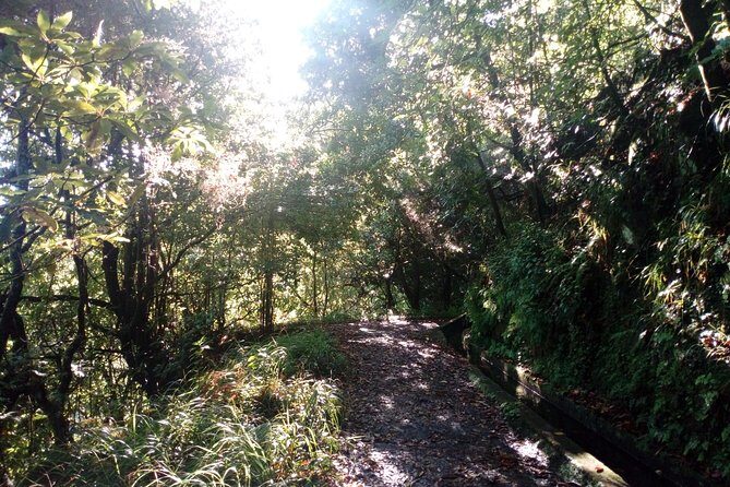 PR18 Levada do Rei with Local Guide - Key Points