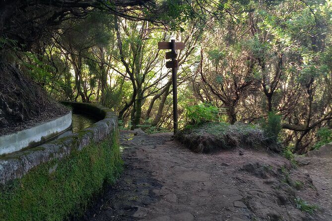PR6 25 Fountains/Risco Levada Walk - Frequently Asked Questions