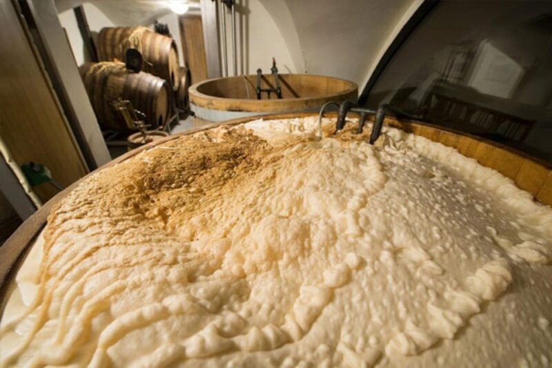Prague: Beer Tasting and Brewery Tour - Who Should Consider This Tour?