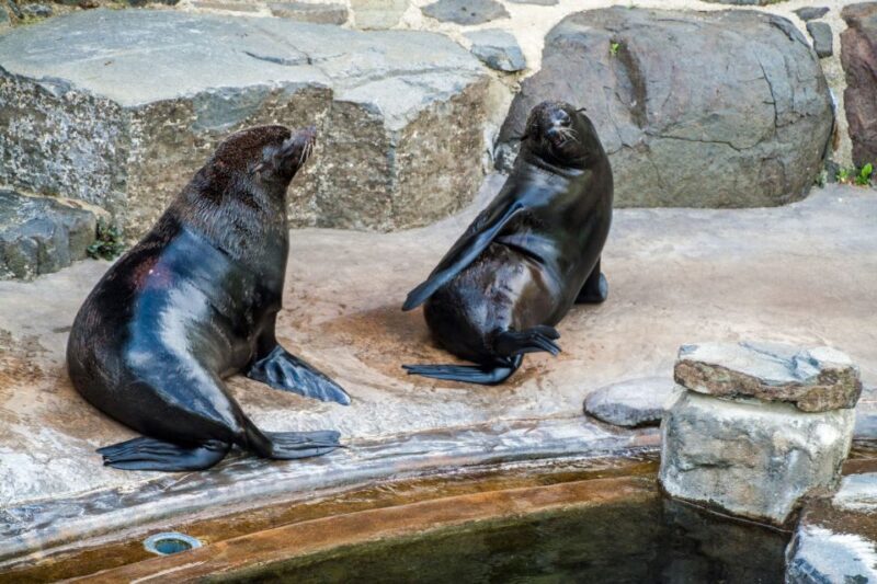 Prague: Boat Ride to the Zoo and Admission Ticket - Prague: Boat Ride to the Zoo and Admission Ticket — a Detailed Review