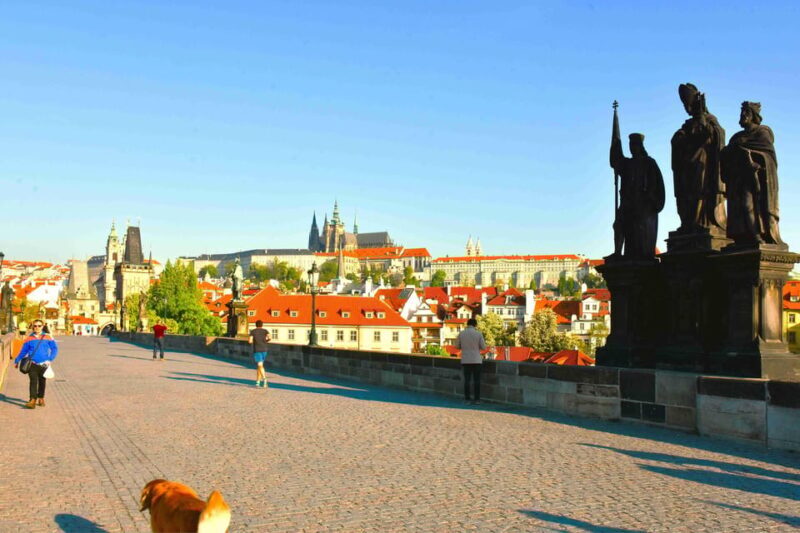 Prague: Charles Bridge Audio Guide with Tower Entry Ticket - Who Should Consider This Tour?