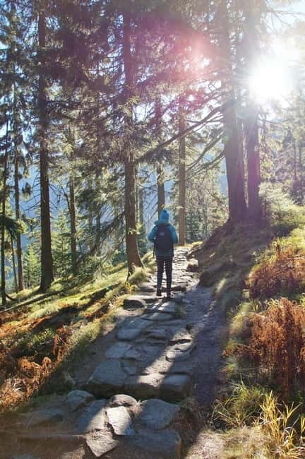 Prague: Day trip to Krkonoe Mountains - Return Journey and Final Impressions