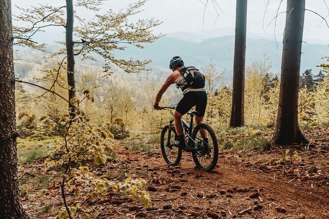 Prague E-Mountain Biking Adventure In The Bohemian Paradise - Authentic Insights from Travelers