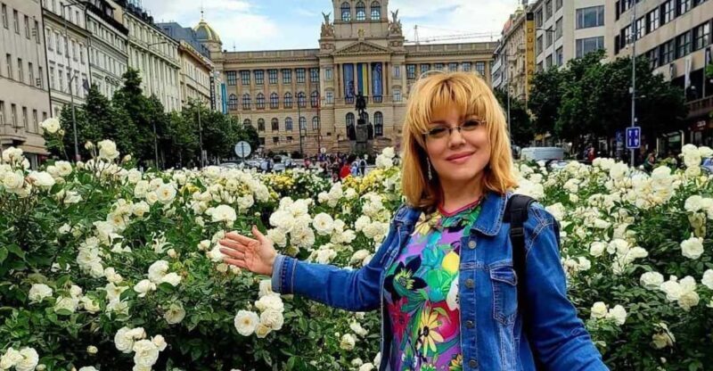 Prague: Highlights of Prague Private Half-Day Tour by Car - Exploring Prague in Comfort: The Highlights of a Private Half-Day Tour by Car