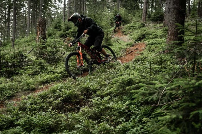 Prague: Jeseniky Mountains 5-Day Guided Bike Tour - Authenticity and Value