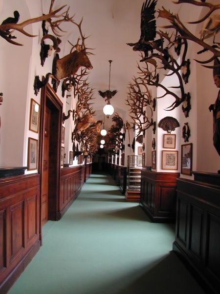 Prague: Karltejn Castle Guided Tour with Entry Ticket - Frequently Asked Questions