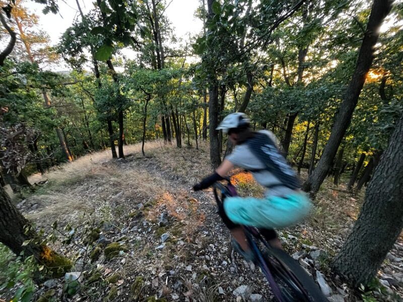 Prague Mountain Biking: Blast Through The Best Singletracks - Potential Downsides