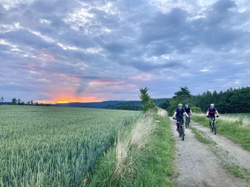 Prague Mountain Biking: Blast Through The Best Singletracks - Final Thoughts: Who Is This Tour Best For?