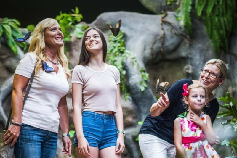 Prague: Papilonia Butterfly House - Who Will Love It?