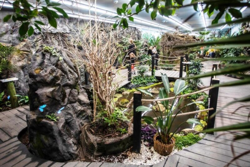 Prague: Papilonia Butterfly House - FAQ