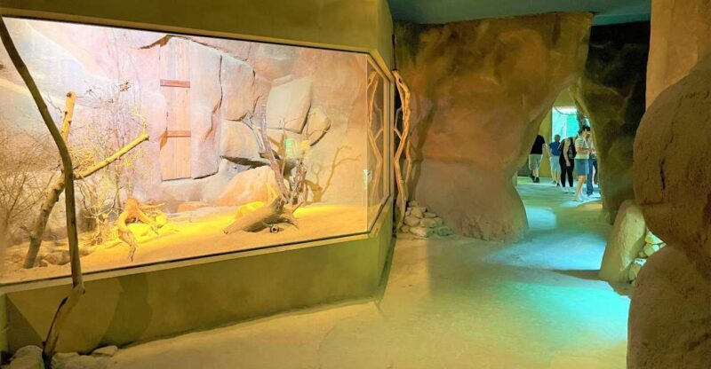 Prague: Prague Zoo Audio Guide with E-Ticket - Key Points