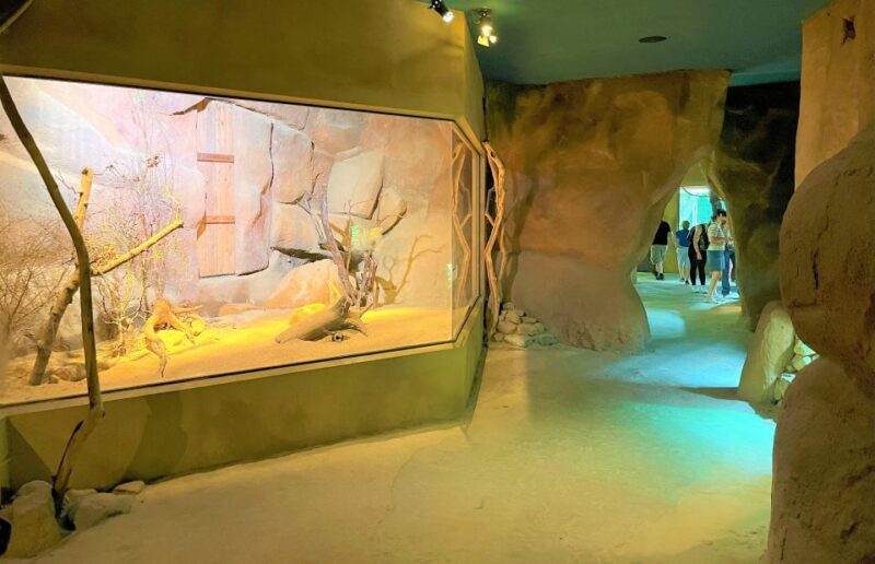 Prague: Prague Zoo Audio Guide with E-Ticket - Who Should Consider This Experience?