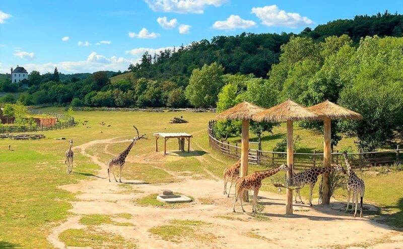 Prague: Prague Zoo Audio Guide with E-Ticket - The Sum Up