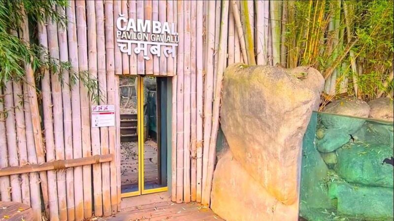 Prague: Prague Zoo Audio Guide with E-Ticket - FAQ