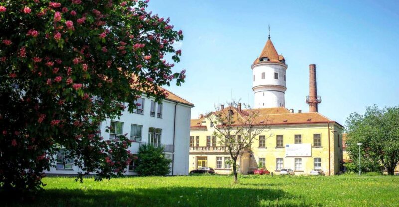 Prague: Psychiatric Hospital and Abandoned Cemetery Tour - Prague: Psychiatric Hospital and Abandoned Cemetery Tour – An Unforgettable Journey into the Past