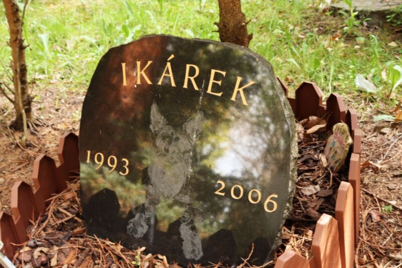 Prague: Psychiatric Hospital and Abandoned Cemetery Tour - Final Thoughts