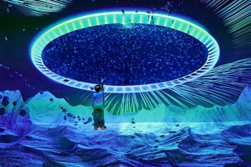 Prague: The World Of Jellyfish Entry Ticket w/ Drink - A Closer Look at The World of Jellyfish