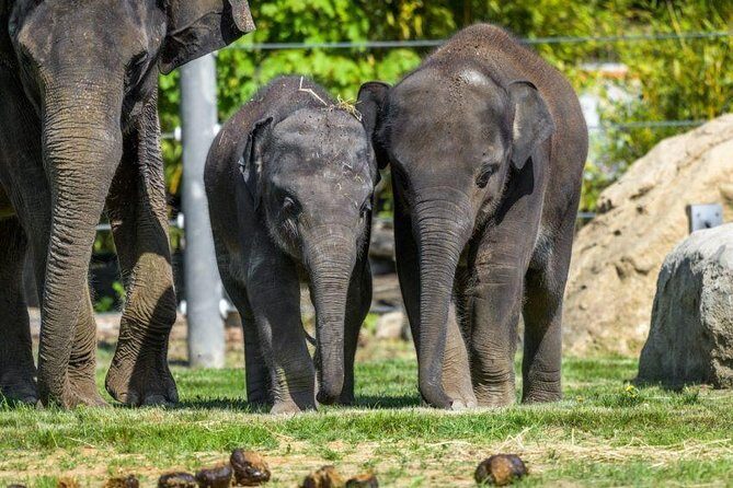 Prague Zoo Admission Ticket including Round Trip Transfer - Who Should Consider This Tour?