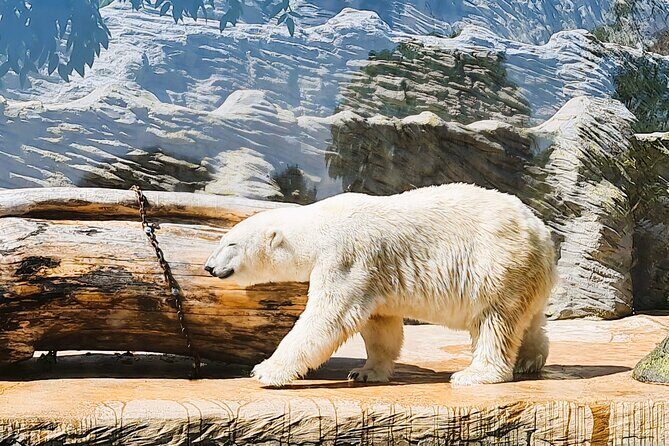 Prague Zoo Admission Ticket with Transfer and Audio Guide - Who Should Consider This Tour?