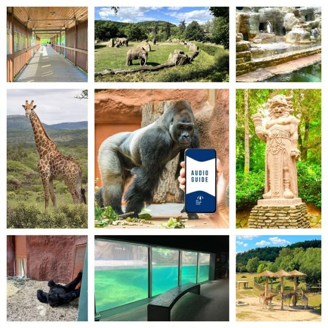 Prague Zoo Online Audio Guide (No ticket) - The Experience in Detail
