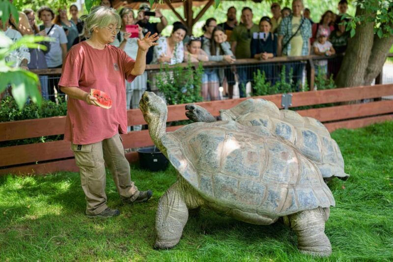 Prague Zoo: Skip-the-Line Entry Ticket - Authentic Reviews: What Visitors Say