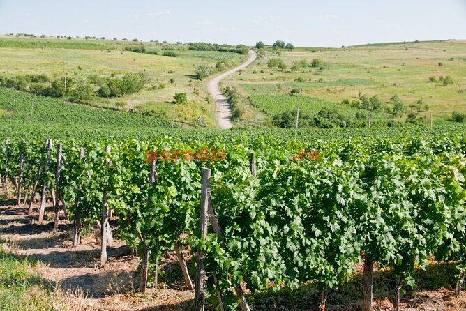Prahova Salt Mine & Wine Tasting - Private day tour from Bucharest - FAQ