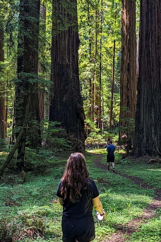 Prairie Creek State Park: Redwood Forest Hiking Tour - Final Thoughts